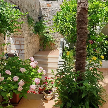 Appartement Sea View